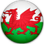 Wales Over-40s