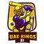 UAE Kings XI
