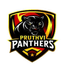 Pruthvi Panthers