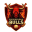 Bhimavaram Bulls
