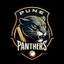 Pune Panthers