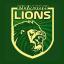 Punjab Lions