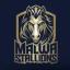 Malwa Stallions