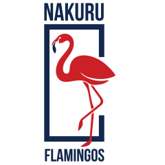 Nakuru Flamingo