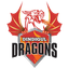 Dindigul Dragons