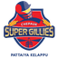 Chepauk Super Gillies