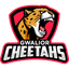 Gwalior Cheetahs