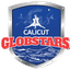 Calicut Globstars