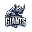 Guwahati Giants